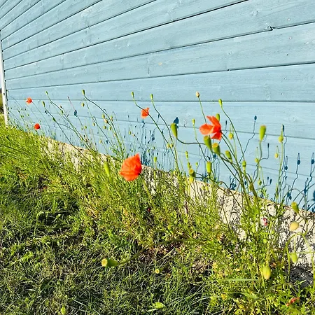 Suvekodu Alpstuga Spithami